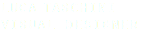 luca taschini visual designer